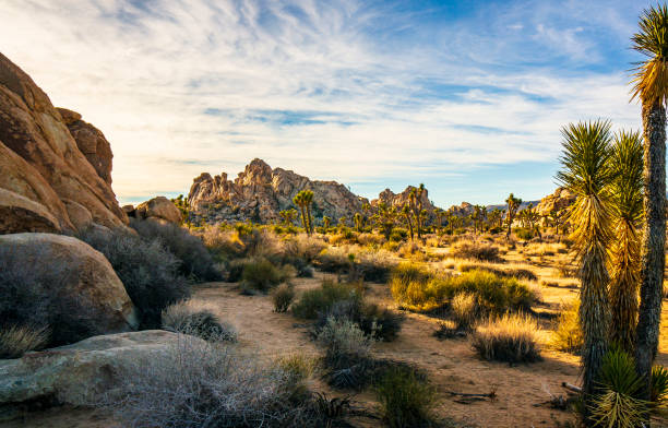 istock Dusk lights illuminate the rock formations surrounding a small hidden valley. 1364867128