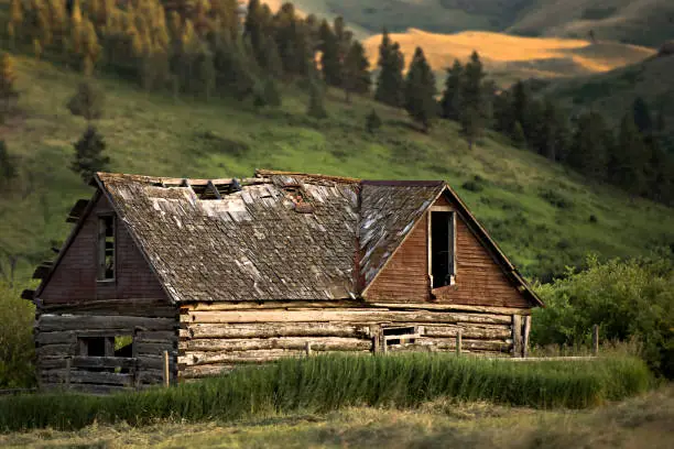 Photo of Cabin