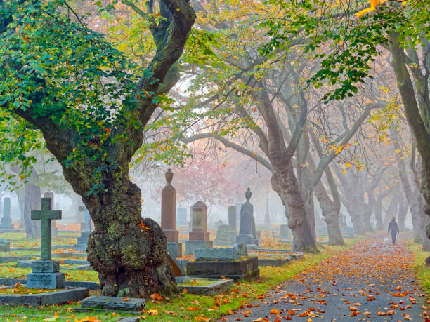 27,700+ Beautiful Graveyard Stock Photos, Pictures & Royalty-Free Images -  iStock