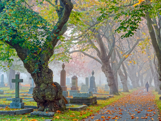 27,700+ Beautiful Graveyard Stock Photos, Pictures & Royalty-Free Images - iStock
