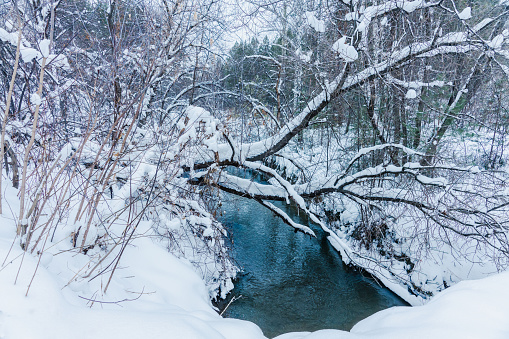 Small river running across wild winter forest. Winter landscape.