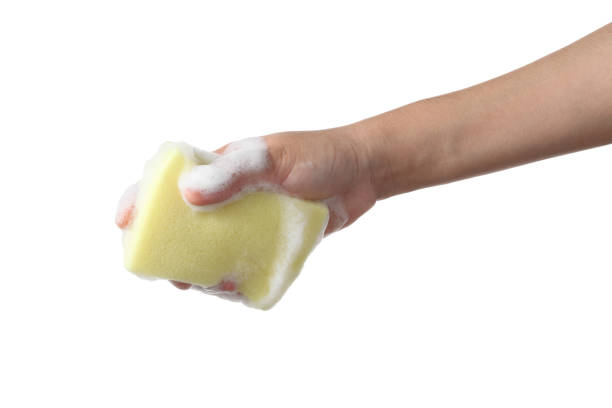 istock Hand holding cleaning sponge on white background 1364891862