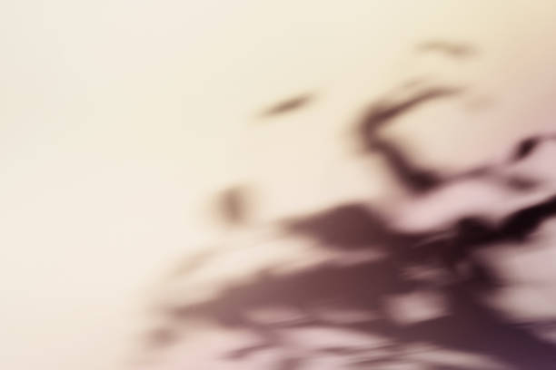 istock Natural foliage shadow on gradient paper background. Abstract pastel floral backdrop. Soft light 1364895108