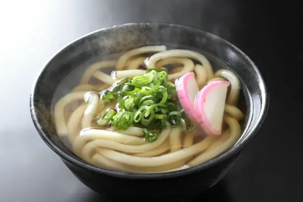 Udon, steam, warm, kashiwa udon, meat udon, udon, hot, green onion