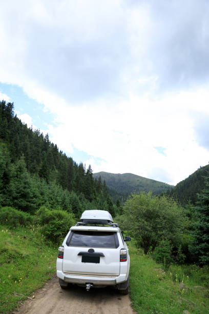 istock Driving off road car in high altitude forest mountains 1364900270