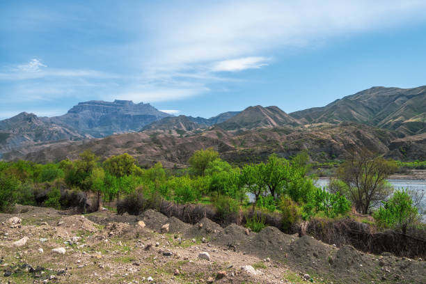 istock Quarry in greenery. Lush greenery and mountain slopes. Chalk coast with the growing greenery. 1364906698