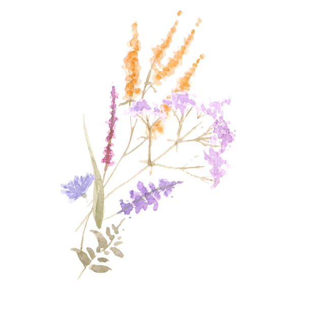 delikatny bukiet dzikich kwiatów. ilustracja akwarelowa tła. - invitation tea flower bouquet stock illustrations