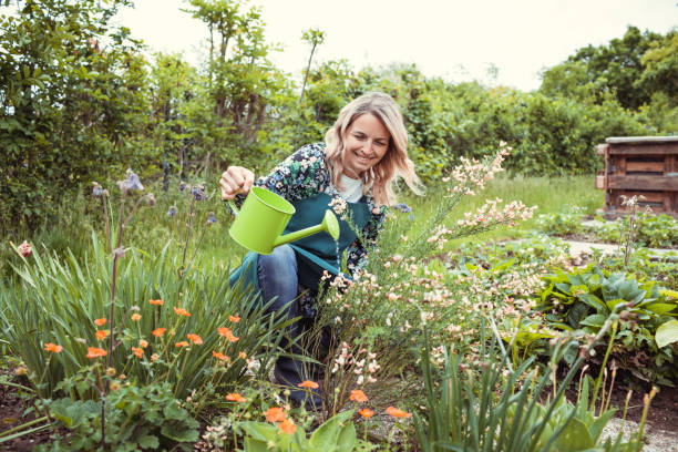 bonita jardinera rubia trabajando en jardín con flores - jardinería fotos fotografías e imágenes de stock