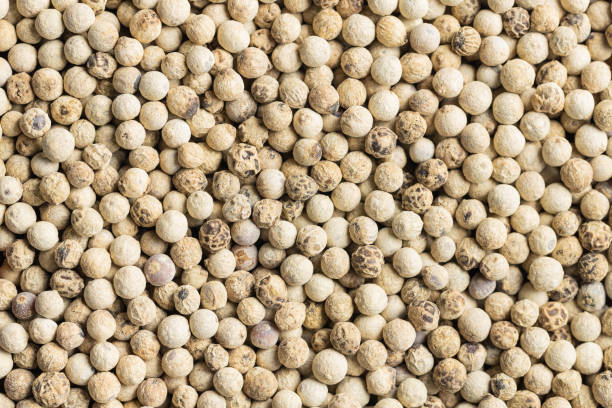 istock Whole pepper spice. White peppercorn grain 1364919965