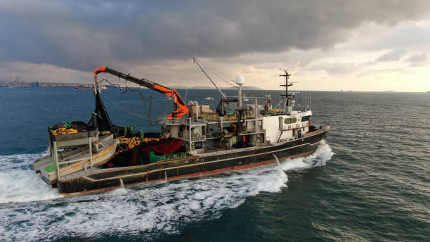 istock aerial view of fishing boat in bosphorus 1364919986