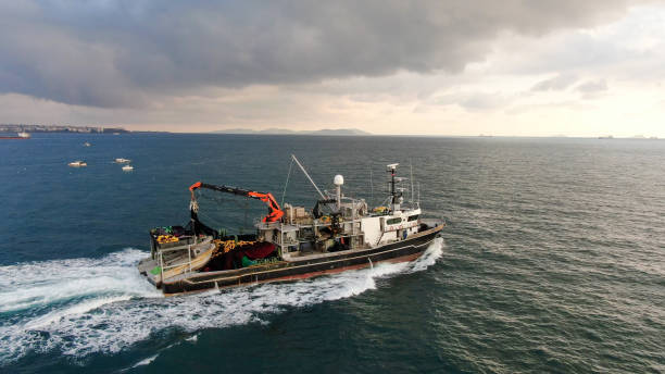 istock aerial view of fishing boat in bosphorus 1364919987