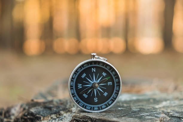 istock a compass seeking orientation in nature 1364920160