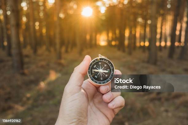 A Hand Holding A Compass Seeking Orientation In The Forest At Sunset Stock Photo - Download Image Now