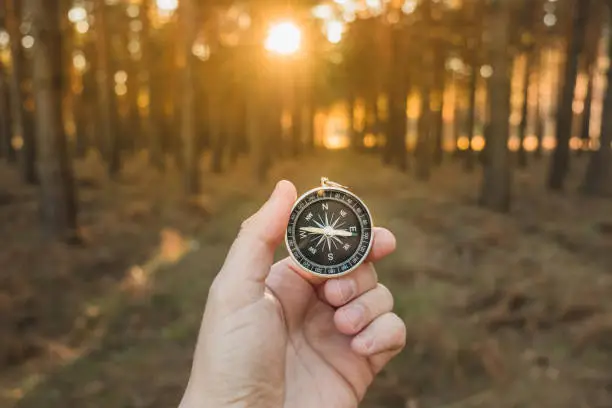 a hand holding a compass seeking orientation in the forest at sunset. Concept of orientation and leadership