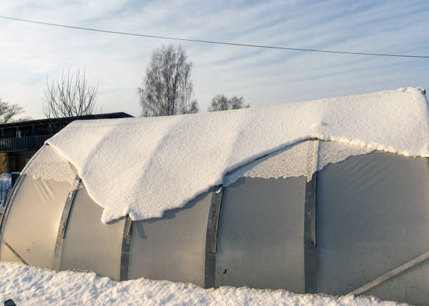 istock snow - covered greenhouse on a sunny winter day 1364920842