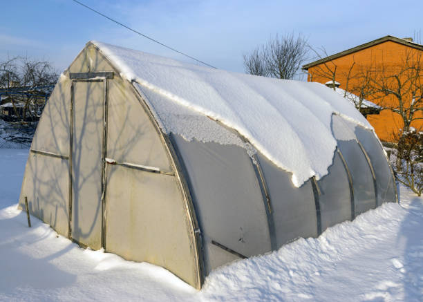 istock snow - covered greenhouse on a sunny winter day 1364920887