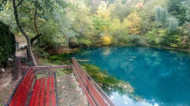 istock Bench on the Trout mountain lake shore 1364921131