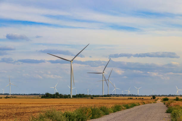 istock Wind turbines in a field. Renewable energy 1364923910