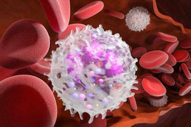 istock Leukocyte white blood cells inside a human vein. . 3d render. 1364926548