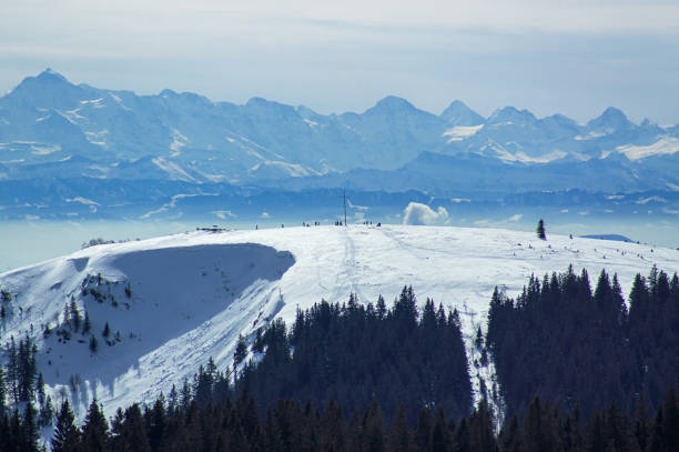 冬のアルプスのパノラマに対する黒い森のヘルツォーゲンホルンの眺め。 - cross country skiing black forest germany winter ストックフォトと画像