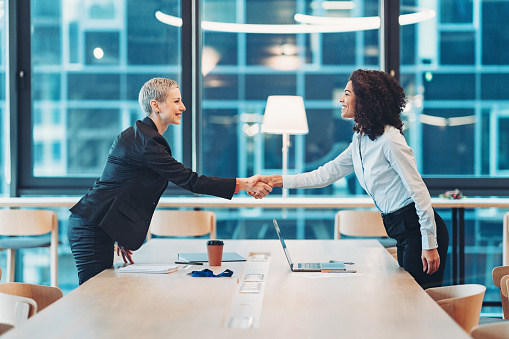 Businesswomen shaking hands in the office