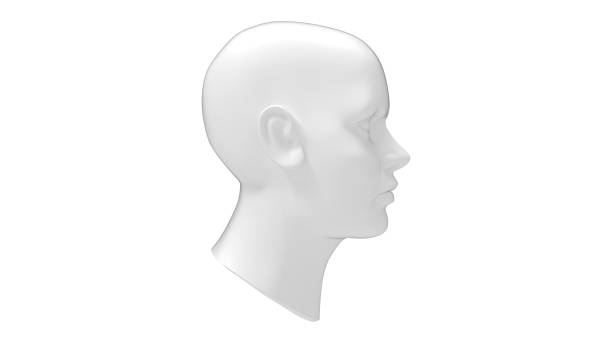 istock Female head mannequin 3D rendering isolated on a white background. 1364931360
