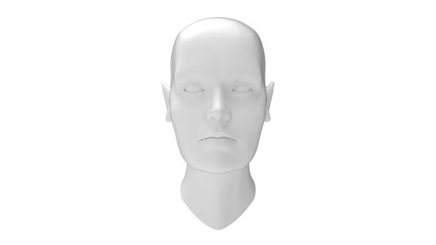 istock Female head mannequin 3D rendering isolated on a white background. 1364931508
