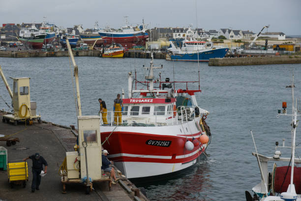 vista en el puerto de guilvinec - fishermen harbor fotografías e imágenes de stock