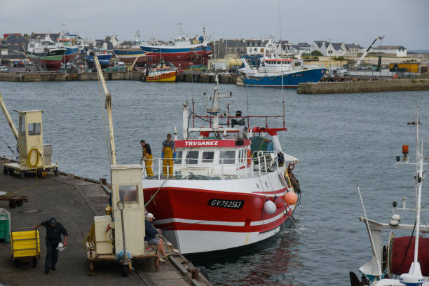 vista sul porto di guilvinec - fishermen harbor foto e immagini stock
