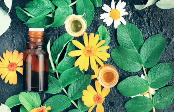 Botanical spa treatment with aroma essential oil in glass bottle closeup top view fresh holistic herbal infusion calendula flower plant leaves fresh leaves and flowers  with aroma oil bottle, black table background infused oil stock pictures, royalty-free photos & images
