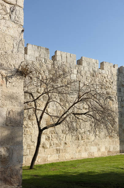 muralhas de jerusalém - parque nacional das muralhas de jerusalém - fotografias e filmes do acervo
