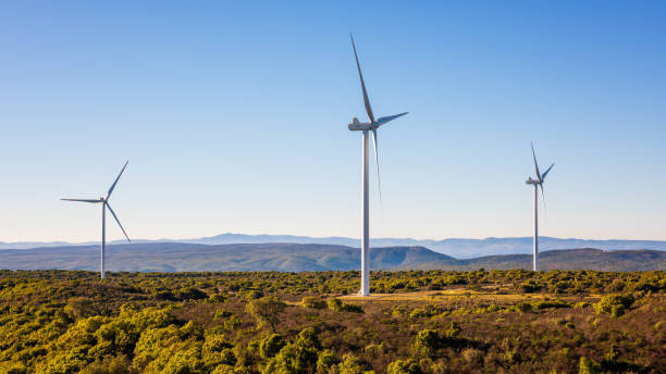 istock Turbines in a mountain wind farm. Ecological energy production. 1364935546