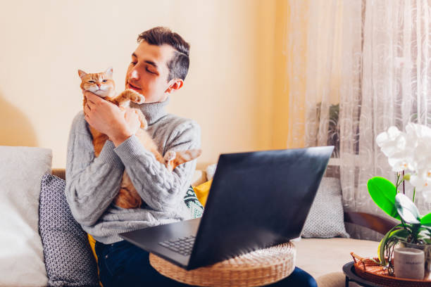 istock Man working in internet from home holding cat using laptop. Young freelancer businessman relaxing with pet 1364937549