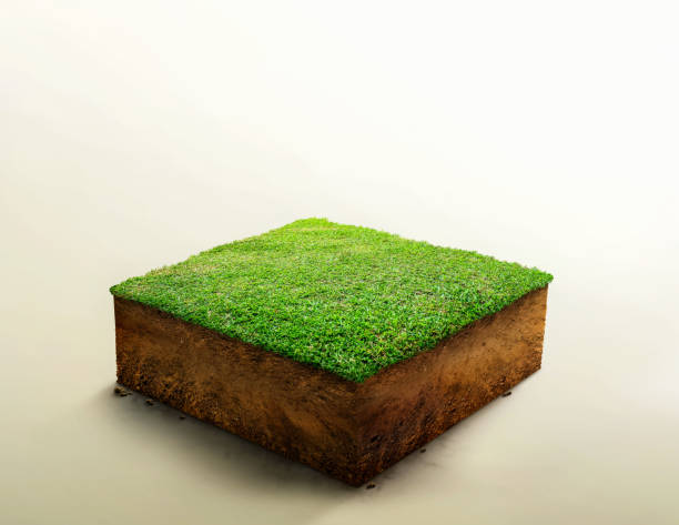 istock 3D Illustration, cubical soil ground cross section with earth land and green grass, Soil layers. realistic 3D rendering ground ecology 1364940087
