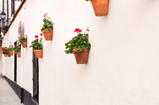 Red flower pots with geranium on white facade, Sevilla Spain
