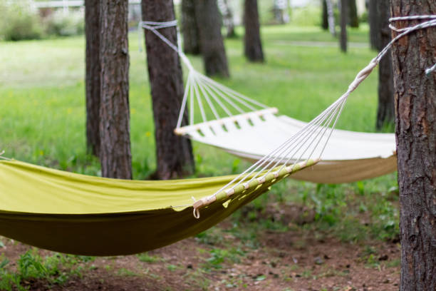 istock White and green hammock in garden, close-up. Empty hammock for relaxing 1364942592