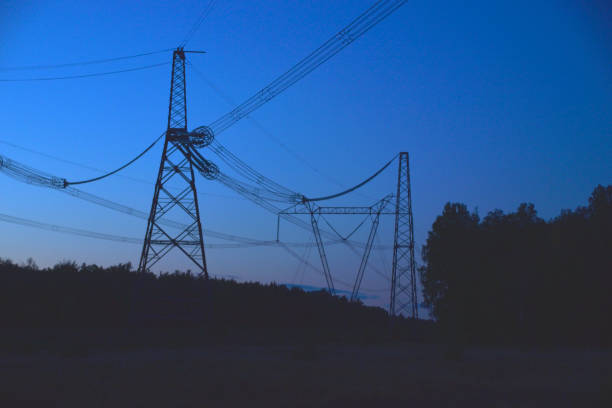 istock High voltage power line in the evening in the forest 1364943352