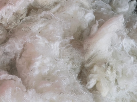Horizontal high angle closeup photo of white sheep’s fleece.