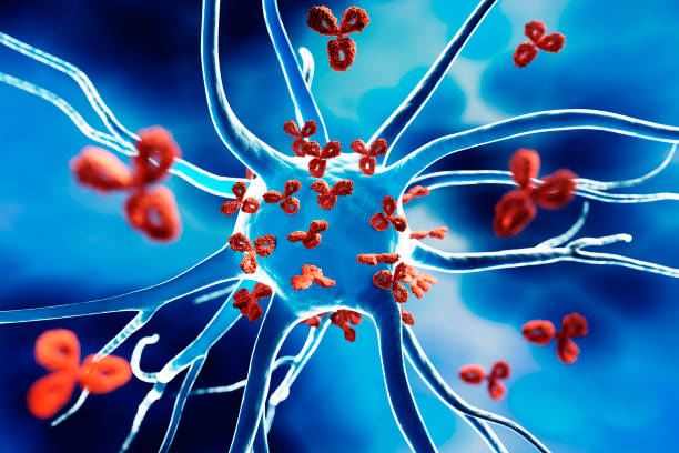 istock Nerve cell attacked by Antibodies 1364952088