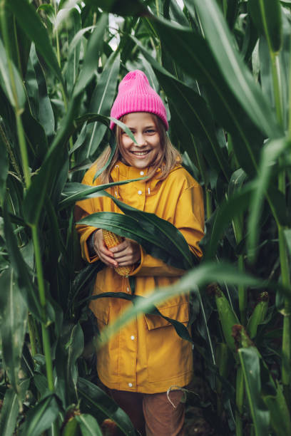 menina engraçada vestida com uma capa de chuva amarela e um boné rosa quente estraga e morde milho em um milharal - little girls autumn child red hair - fotografias e filmes do acervo