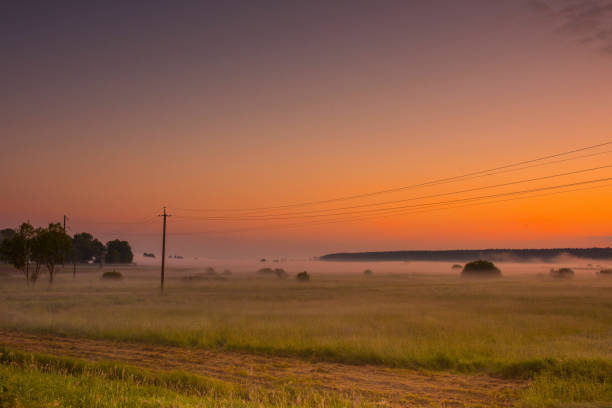 Beautiful landscape during sunrise against the backdrop of the forest.