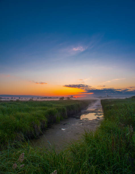 istock Misty morning and sunrise.