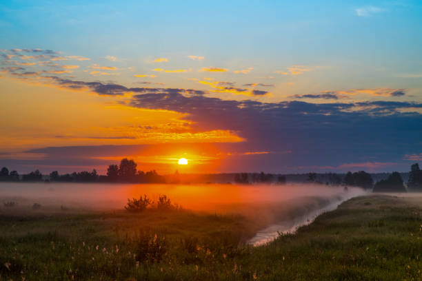 Beautiful landscape during sunrise against the backdrop of the forest.