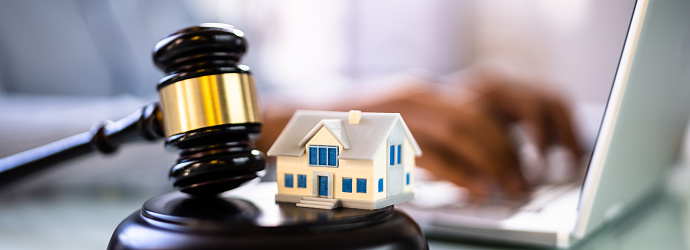 Real Estate Property Auction And Arbitration. Houses Litigation