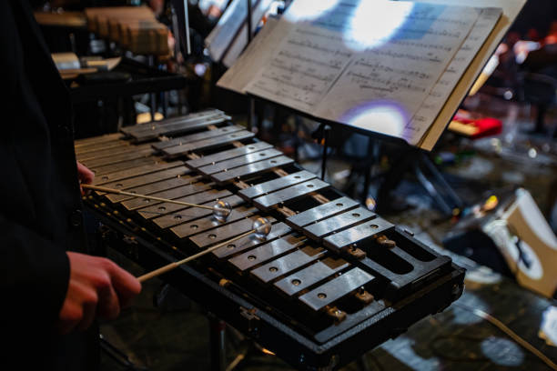 istock Closeup of hands playing Xylophone 1364961023
