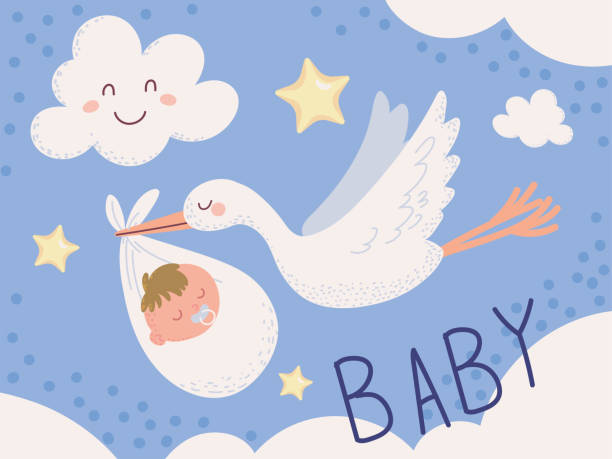 stork carrying a baby stork carrying a baby in the sky stork stock illustrations