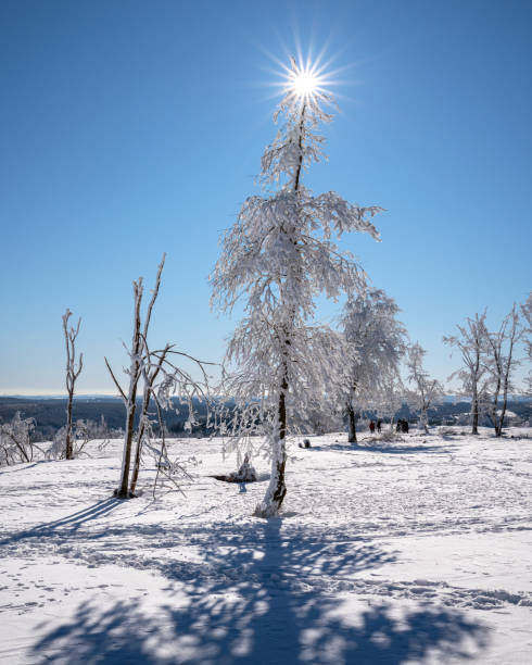 istock Kahler Asten, Sauerland, Germany 1364962861