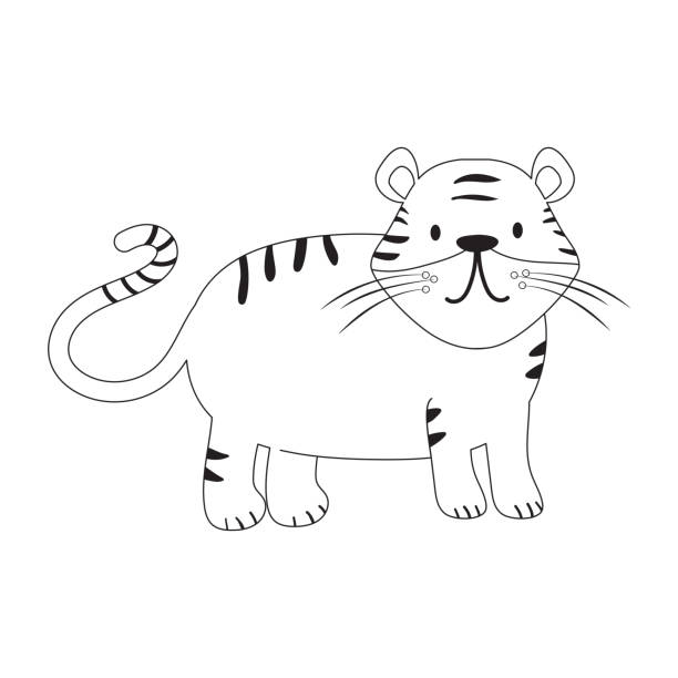 209 Baby White Tiger Drawing Illustrations & Clip Art - iStock
