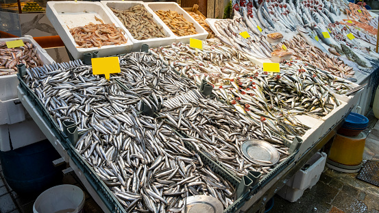 fresh fish on display at the seafood counter