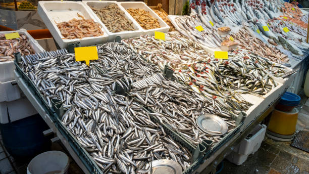 świeże ryby - fish market prepared fish seafood photography zdjęcia i obrazy z banku zdjęć